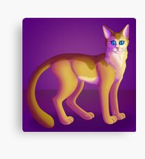 Lienzo Kitty Cat