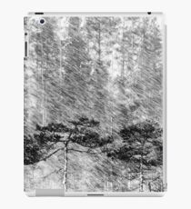 21.2.2016: Pine Trees in Sleet iPad Case/Skin