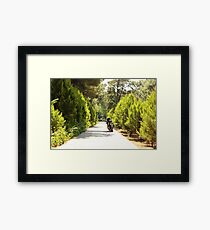 bike on the road Framed Print