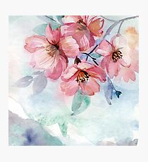 Lámina fotográfica Watercolor Flowers