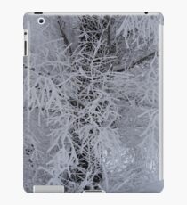 Willow iPad Case/Skin