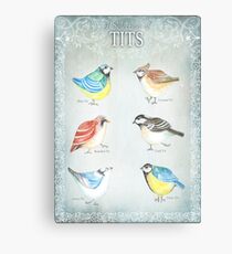 TITS Canvas Print