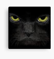 Schwarze Katze mit Goldaugen Leinwanddruck