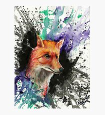 Fox of Many Colors Photographic Print