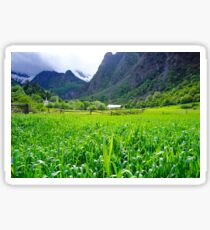 Countryside Sticker