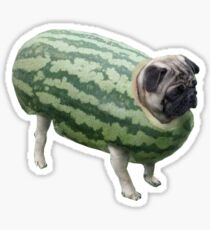 Wassermelonen-Mops Sticker