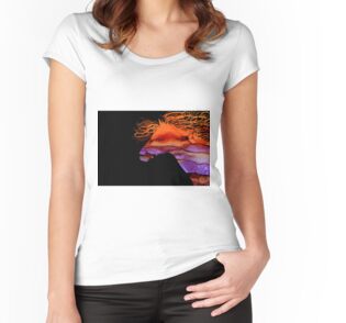 Women's Fitted Scoop T-Shirt