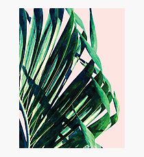 Palm V2 #redbubble #lifestyle #home #style Photographic Print