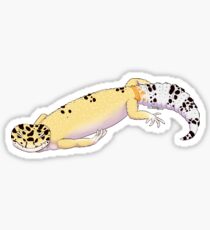 Hypo Leopard Gecko Sticker
