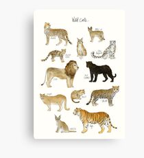 Wild Cats Canvas Print
