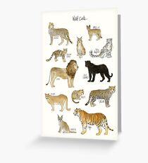 Wild Cats Greeting Card