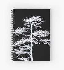 Flash of Light Spiral Notebook