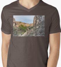 House on a Mountain Men's V-Neck T-Shirt