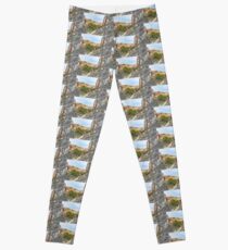House on a Mountain Leggings