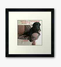 Black Dog Sits On Command on Couch Framed Print
