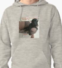 Black Dog Sits On Command on Couch Pullover Hoodie