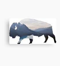 Mountains in the Bison Canvas Print