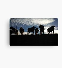 Cows Hanging Out. Canvas Print