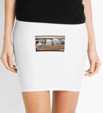 Hilarious Mini Skirt