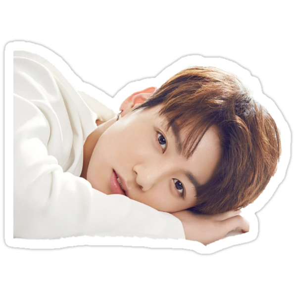  Jungkook Jeon Jungkook of BTS  Stickers by alex17125 