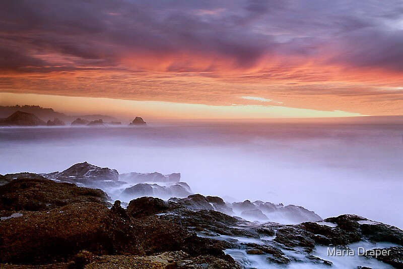 "Weston Beach & Bird Island, Point Lobos, Carmel, CA" by Maria Draper