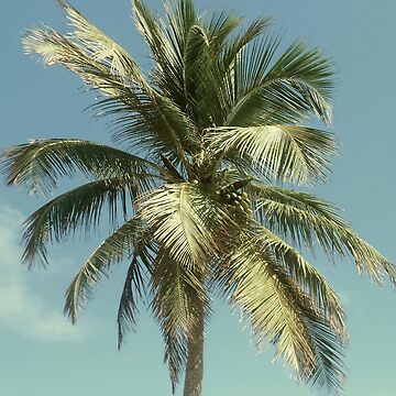 Tropical Coconut Palm Tree Sticker