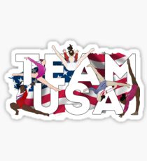 TEAM USA Sticker