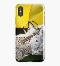 Furry Puss Moth on yellow Tulip iPhone Case