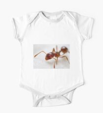 Extreme macro Ant on a clematis petal One Piece - Short Sleeve