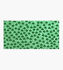 Shamrocks Photographic Print
