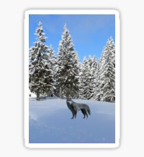 A wolf in the snow. Sticker