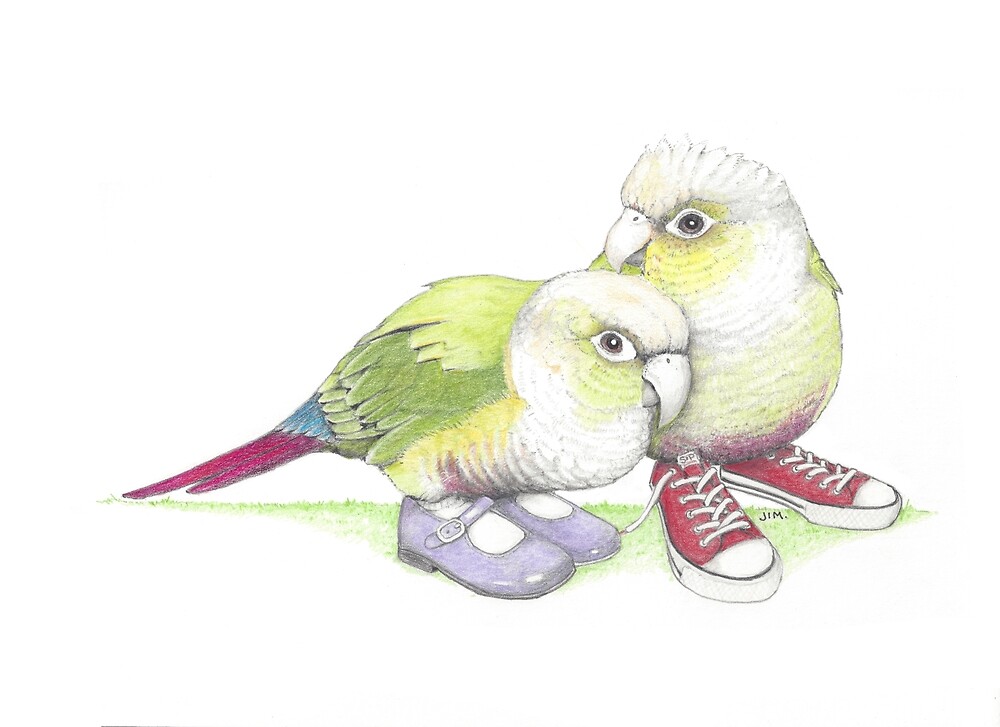 2 conures in low tops and Mary Janes by JimsBirds