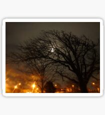 The Moonlit Tree. Sticker