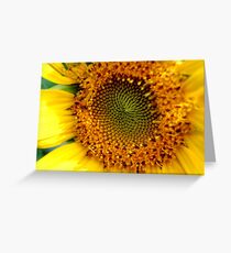 Sunny Sunflower Greeting Card