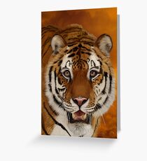 Siberian Tiger - Head Study Greeting Card