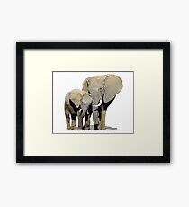 Elephant Love Framed Print