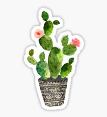 Watercolor cactus Sticker