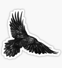 Raven in flight Sticker