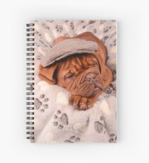 Sleepy Puppy Dogue Spiral Notebook
