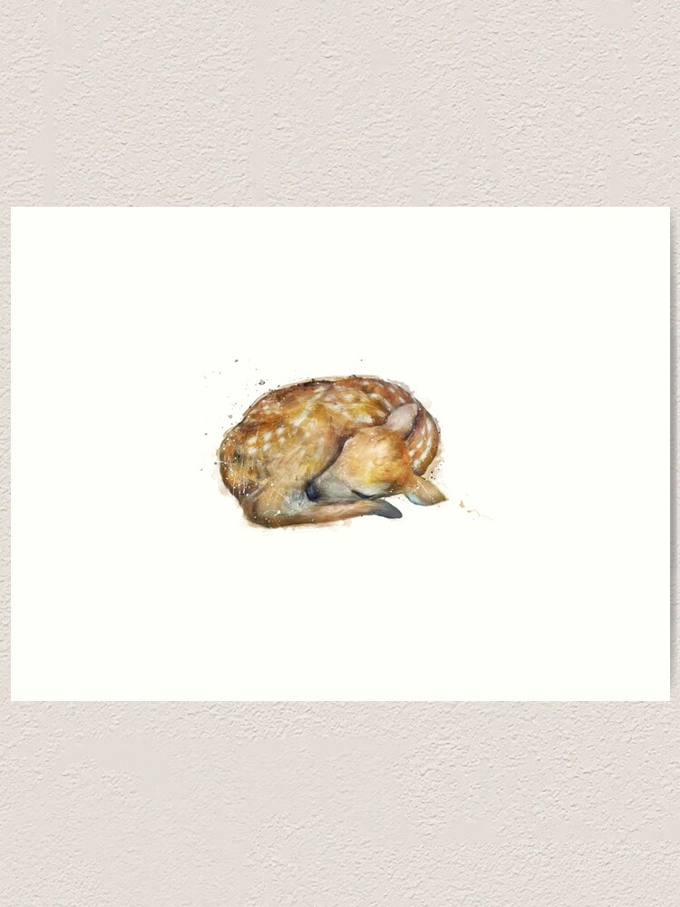 Alternate view of Sleeping Fawn Art Print