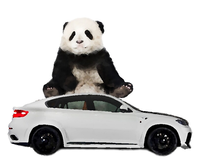 that looks like a panda quot white x6 look like a panda quot posters by thedjk redbubble that looks like a panda quot white x6 look like a panda quot posters by thedjk redbubble