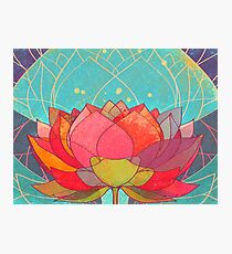 space lotos Photographic Print