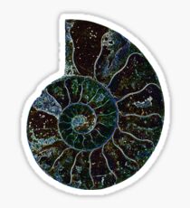 neon ammonite Sticker