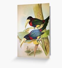 John Gould’s Monograph of the Ramphastidae, or Family of Toucans, published Greeting Card