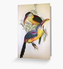 John Gould’s Monograph of the Ramphastidae, or Family of Toucans, published Greeting Card