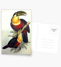 John Gould’s Monograph of the Ramphastidae, or Family of Toucans, published i Postcards