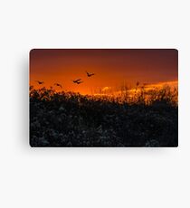 Sunset Freedom Canvas Print