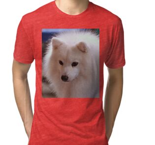 japanese spitz t shirt