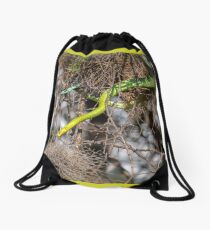 Boomslang Drawstring Bag