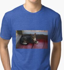 Adorable Cat Tri-blend T-Shirt